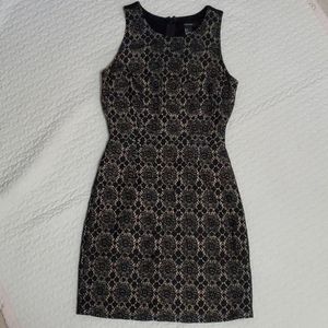 Bodycon Lace Detail Minidress
